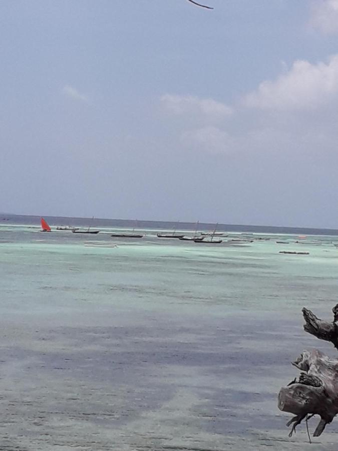 基济姆卡济Tayana Place公寓 外观 照片
