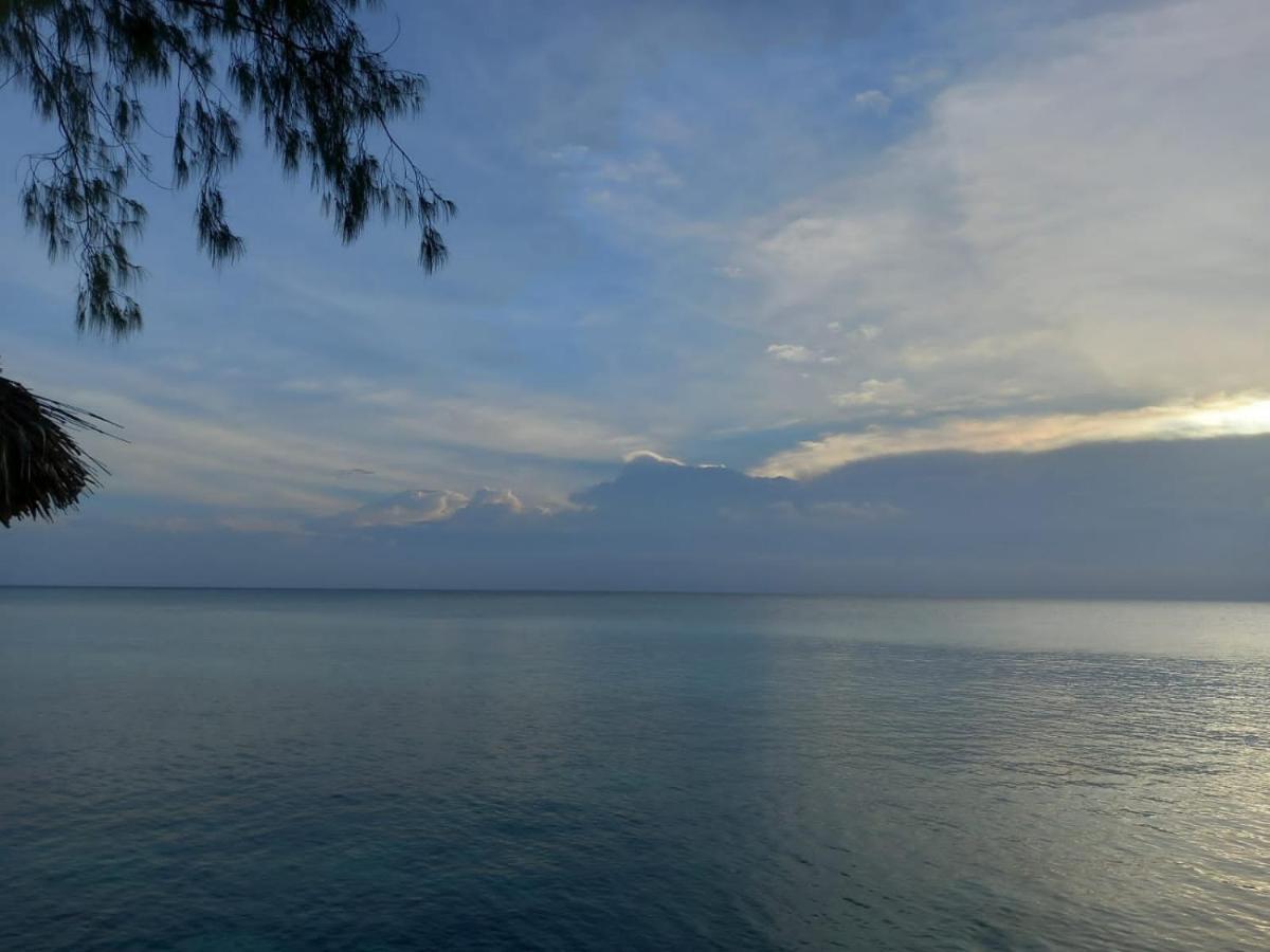 基济姆卡济Tayana Place公寓 外观 照片