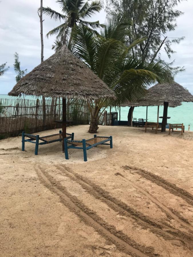 基济姆卡济Tayana Place公寓 外观 照片